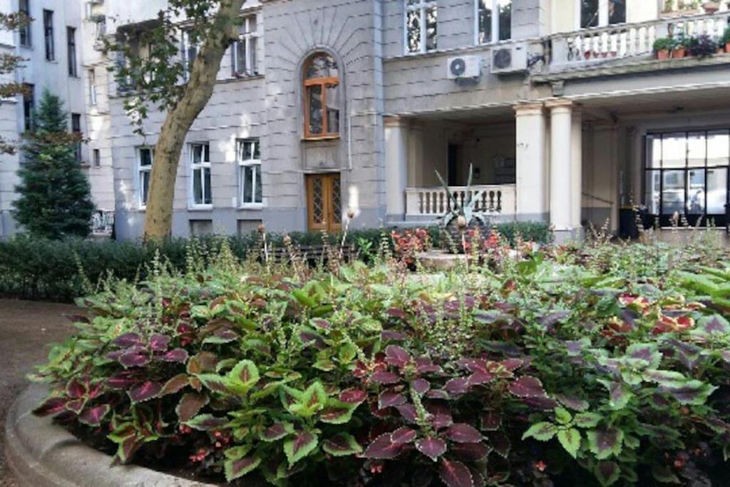Gorgeous Flat Right Near The City Center بودابست المظهر الخارجي الصورة